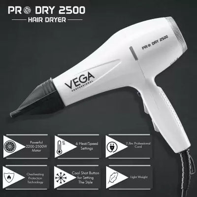 Pro Dry 2500 Hair Dryer
